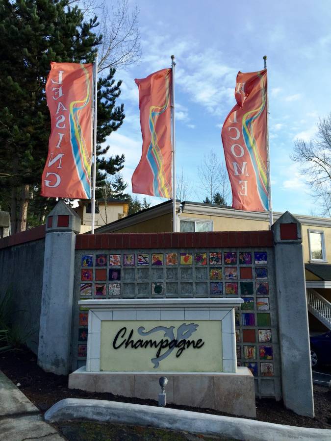 Bonavista Properties